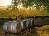 profitable beautiful winery new