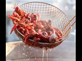 high traffic seafood market