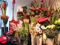 Florist -- Hampton Park -- #6886711 For Sale