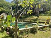 Established Jungle Resort In Lombok For Sale