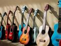 Music Retail Business X 2 Stores Western Sydney | Id: 1181 For Sale