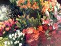 Long Established Florist - A Money Maker For Sale