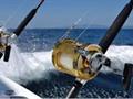 Fishing Charter Business - Excellent Location For Sale