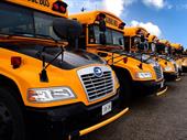well-established school transportation software