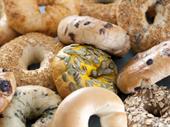 established bagel shop new