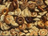 asset sale bagel shop