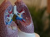 pulmonology practice florida for