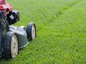 profitable lawn care snow