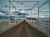 established livestock handling products