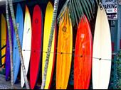 surf rentals business new