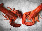 seafood processing handling for