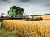 grain elevator business operation