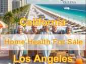 successful home health agency