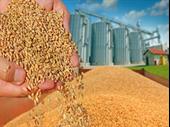 agricultural mill farm supply