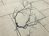 well-established concrete services business