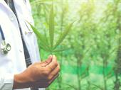 booming medical marijuana clinic