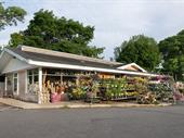 the lumbery garden center