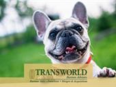 established pet fence business
