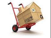 established moving company pinellas