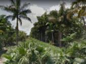 lawn landscaping
