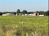 38 acres plus profitable