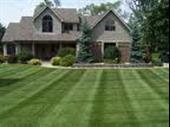 well-established landscape business tacoma