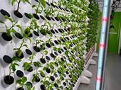 in-demand hydroponics supplier northern
