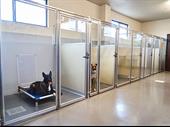 premier dog kennel montana