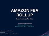 established amazon fba business