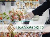 established elite catering company