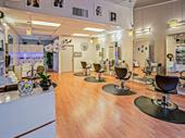 profitablewell established salon lakewood