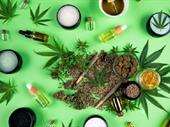 cbd products wellness store