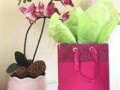 successful boutique home staging