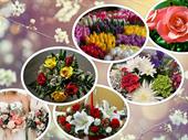 florist near nyc-metro boasts