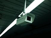 pioneering profitable insurance fraud