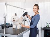 profitable holistic pet grooming