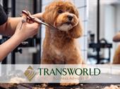 profitable dog grooming business