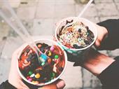 profitable growing frozen-yogurt franchise