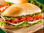 profitable sub shop with