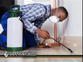 31-year-old pest control business