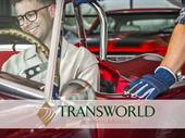 established auto business including