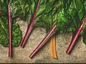 multi-integrated agency for organic