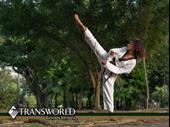 world-class martial arts school