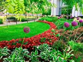 atlanta commercial landscape firm