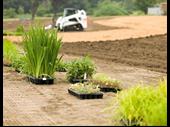 commercial landscaping business west