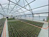well established profitable nursery