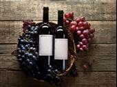 wine importer wholesaler wine