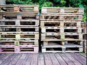 distribution wood pallet business