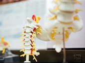 established family chiropractic practice