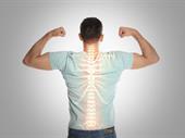 profitable scalable chiropractic franchise